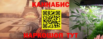 сатива Будённовск