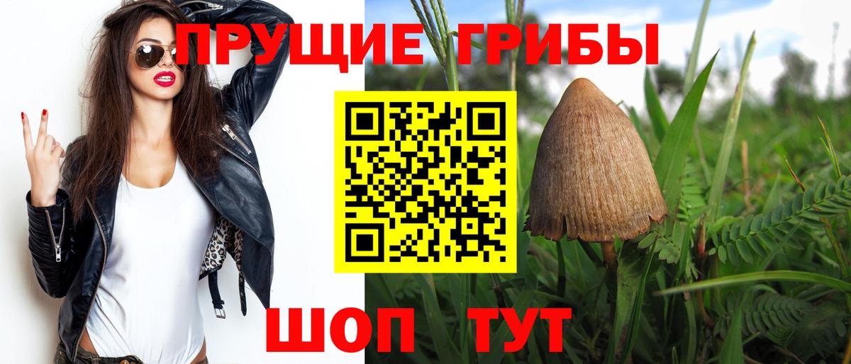 Галлюциногенные грибы Cubensis Краснотурьинск